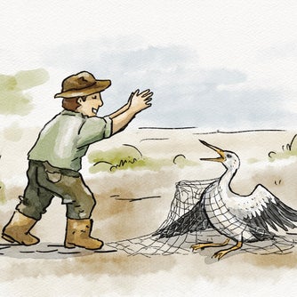 The Farmer and The Cranes